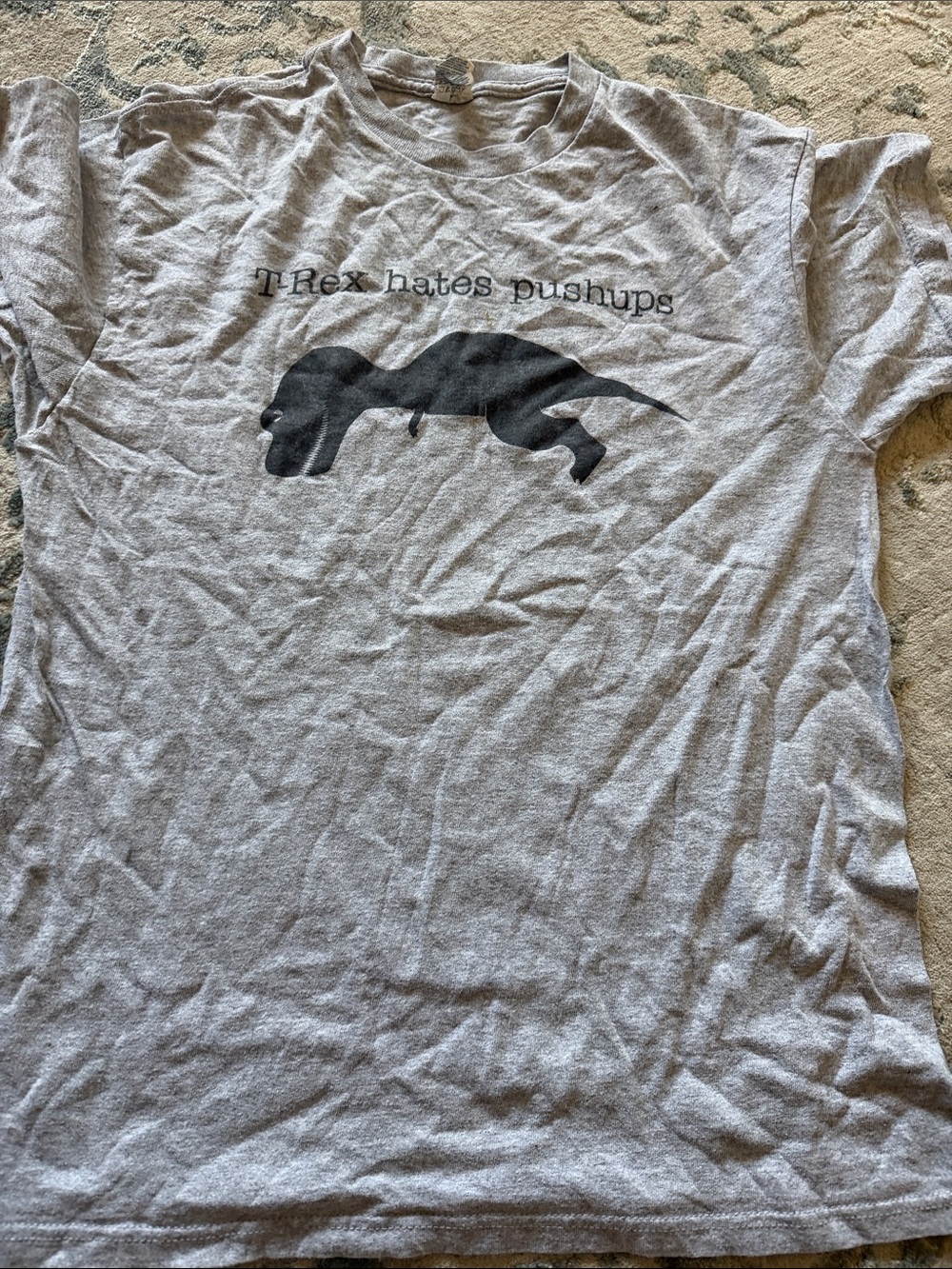 Delta Gray Short Sleeve Tee with Black T‑Rex Graphic